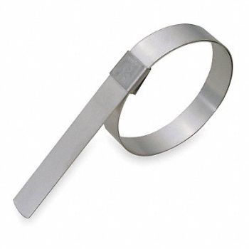 BAND-IT Band Clamp 5/8 W 2 1/2 Max OD PK10, 2LPG3