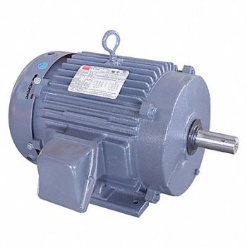 DAYTON GP Motor 10 HP 1 770 RPM 230/460V 215T, 2MXV4