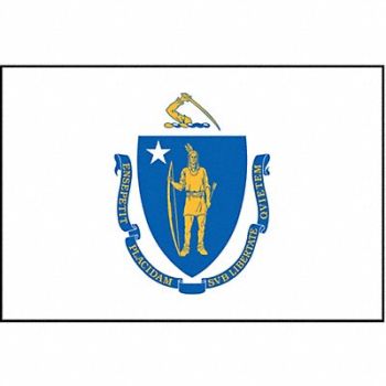 NYLGLO D3761 Massachusetts State Flag 3x5 Ft, 2NEK3