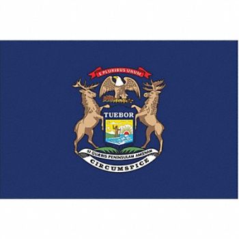 NYLGLO D3761 Michigan State Flag 3x5 Ft, 2NEK4
