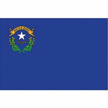 NYLGLO D3761 Nevada State Flag 3x5 Ft, 2NEL1