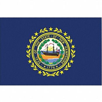 NYLGLO D3761 New Hampshire State Flag 3x5 Ft, 2NEL2
