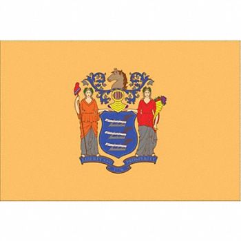 NYLGLO D3761 New Jersey State Flag 3x5 Ft, 2NEL3
