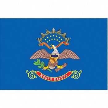 NYLGLO D3761 North Dakota State Flag 3x5 Ft, 2NEL7