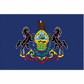 NYLGLO D3761 Pennsylvania State Flag 3x5 Ft, 2NEN2