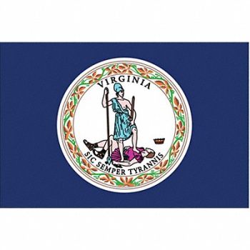 NYLGLO D3761 Virginia State Flag 3x5 Ft, 2NEP1