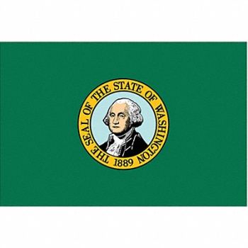 NYLGLO D3761 Washington State Flag 3x5 Ft, 2NEP2