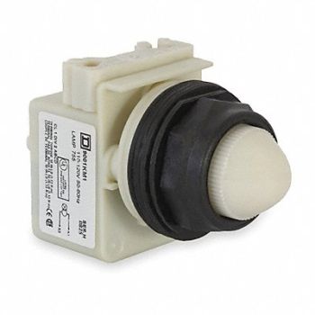 SCHNEIDER ELECTRIC H4506 Pilot Light 30mm Plastic White 120VAC, 2NMG1