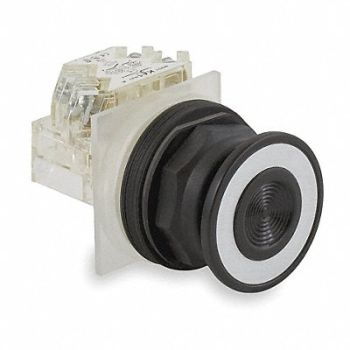 SCHNEIDER ELECTRIC H7093 Non-Illuminated Push Button 30mm Plastic, 2NMK7