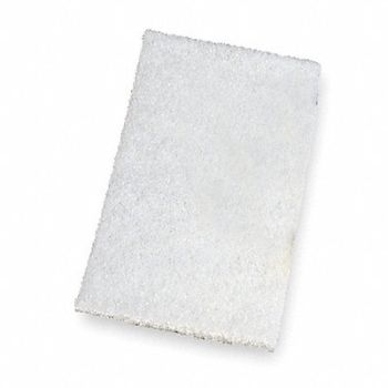 TOUGH GUY Scouring Pad 9 in L White PK20, 2NTG7