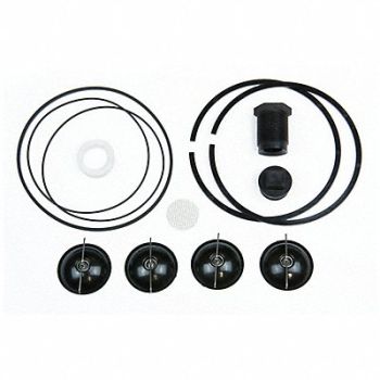 FILL-RITE Fuel Transfer Pump Repair Kit, 2RE15