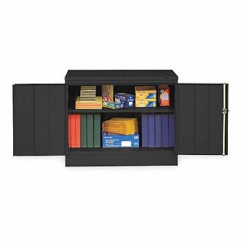 TENNSCO Storage Cabinet 30 x36 x18 Black 2Shlv, 2TET2