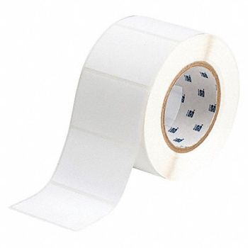 BRADY Label Silver 3 in W Polyester, 2TYW1