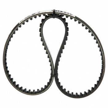 CONTINENTAL TimingBelt FalconPd Rubber 8GTR-800-36, 2UVZ7