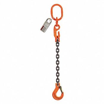 PEWAG Chain Sling G100 SOSXK Alloy Steel 10 ft, 2VCE7