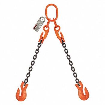 PEWAG Chain Sling G100 DOGXK Alloy Steel 10 ft, 2VCE8