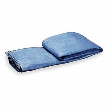 GRAINGER APPROVED G8827 Tarp Polyethylene Blue/Green 30x50Ft, 3W560