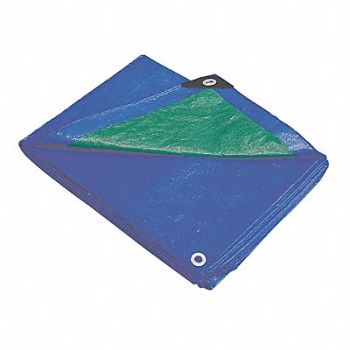 GRAINGER APPROVED G8820 Tarp Polyethylene Blue/Green 10x12Ft, 2W694