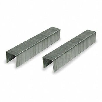 GRAINGER APPROVED Staples H.Duty 1/2In W 1/2In Leg PK1000, 2WFU5