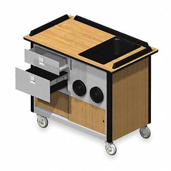 LAKESIDE Hydration Cart Mobil Stainless 45x26x38, 2XJN8