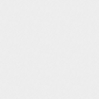 RUST-OLEUM Floor Coating S60 Satin Clear 1 gal Can, 4CY39