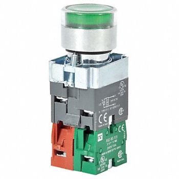 DAYTON H6943 Illuminated Push Button 22mm Green, 30G201