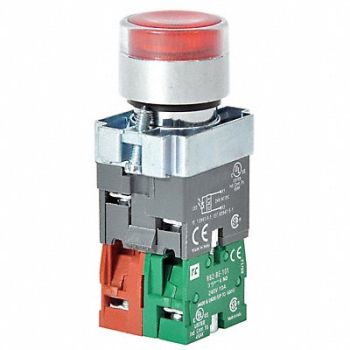 DAYTON H6943 Illuminated Push Button 22mm Red, 30G202