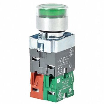 DAYTON H6943 Illuminated Push Button 22mm Green, 30G205