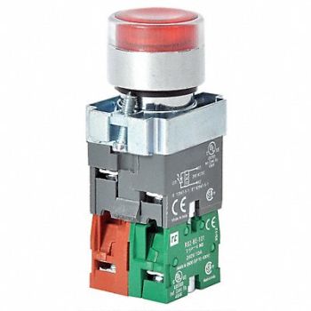 DAYTON H6943 Illuminated Push Button 22mm Red, 30G206