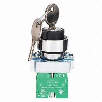 DAYTON Selector Switch 3 Pos. Keyed 22mm, 30G279