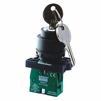 DAYTON Non-Illum Selector Switch Silver Plastic, 30G270