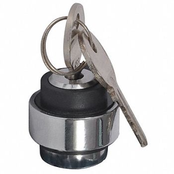 DAYTON Non-Illum Selector Swtch 22mm 2 Pos Keyd, 30G285