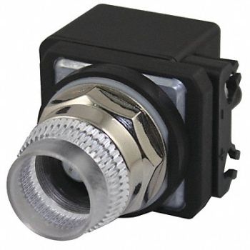 DAYTON Illum Push Button Operator 30mm Clear, 30G370