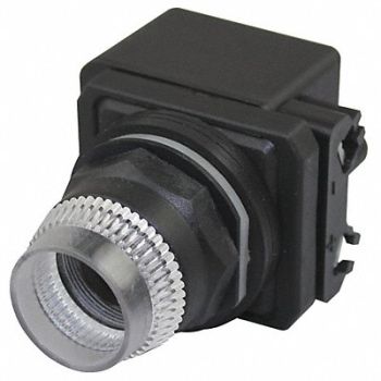 DAYTON Illum Push Button Operator 30mm Clear, 30G373