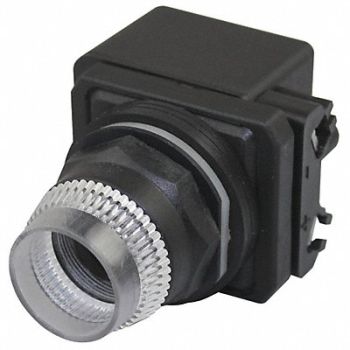 DAYTON Illum Push Button Operator 30mm Clear, 30G377