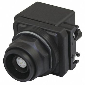 DAYTON Illum Push Button Operator 30mm Clear, 30G378