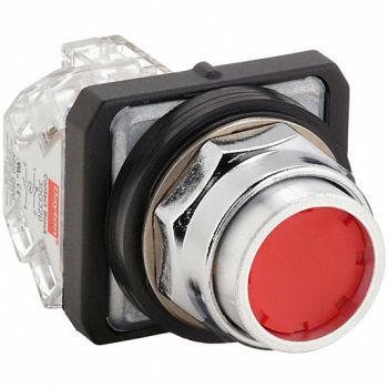 DAYTON H7067 Non-Illuminated Push Button 30mm Metal, 30G444