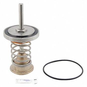 WATTS First Check Valve Repair Kit, 30UK48