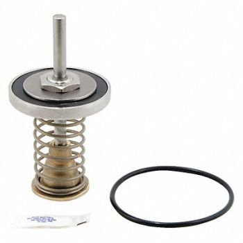 WATTS Second Check Valve Repair Kit, 30UK50