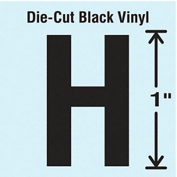 STRANCO INC Die Cut Letter Label H 10 Cards PK10, 30WZ69