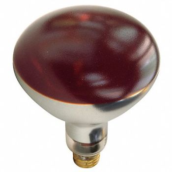 SHAT-R-SHIELD Incandescent Heat Bulb R40 250W, 30ZX22