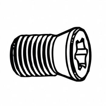 ERICKSON Spare Part FLTHD SCRWTORX M3X0.5 10, 313WM5