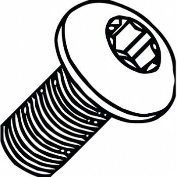 ERICKSON Screws M5, 314JP9