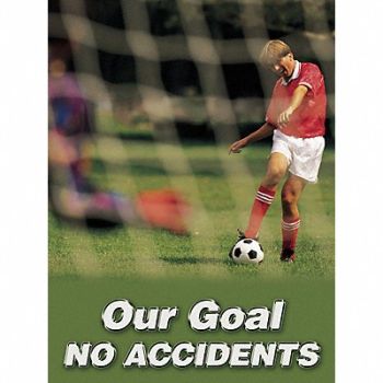 ACCUFORM Poster 22 in x 17 in Plastic, 31A048
