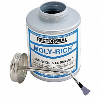 RECTORSEAL Gen Purp Anti-Seize 16 oz BrshTp Cn, 31ER10