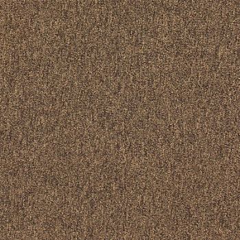 GRAINGER APPROVED Carpet Tile 19-11/16in. L Coffee PK20, 31HL69