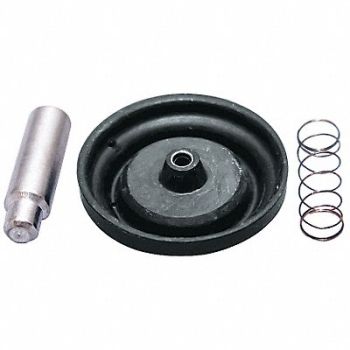 BRADLEY Repair Kit SolenoidValve Rubber SS 1in, 31KP49