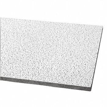 ARMSTRONG Ceiling Tile 48 in L 24 in W PK8, 31LC02