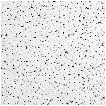 ARMSTRONG Ceiling Tile 24 in L 24 in W PK12, 31LC01