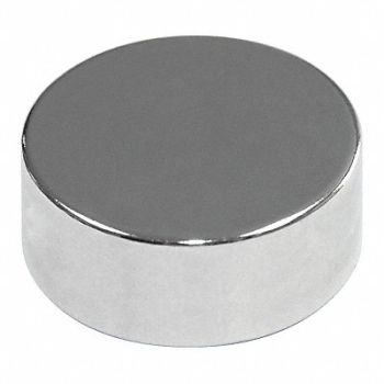 MAG-MATE Disc Magnet Neodymium 13/64 in., 31LU45